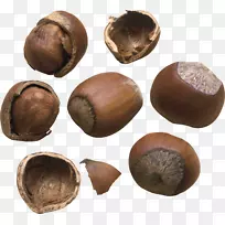 榛子坚果核桃仁-空若网 榛子坚果核桃仁-空若网