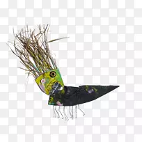 喙羽尾羽-空若网 喙羽尾羽-空若网