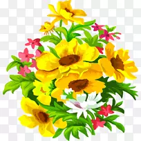 知识日摄影9月1日-空若网 知识日摄影9月1日-空若网