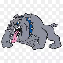 猫麦克卡车,冲压卡车,汽车撞,皮卡-猫-空若网 猫麦克卡车,冲压卡车,汽车撞,皮卡-猫-空若网