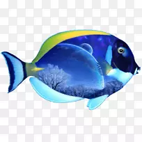 鱼类剪贴画-鱼-空若网 鱼类剪贴画-鱼-空若网