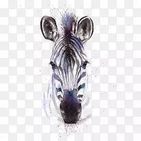 Ë®²Ê»°ßÂí-¿ÕÈôÍø Ë®²Ê»°ßÂí-¿ÕÈôÍø