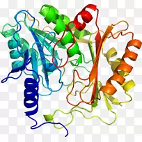 蔬菜茎线夹艺术-蔬菜-空若网 蔬菜茎线夹艺术-蔬菜-空若网