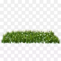 下载剪贴画-绿草-空若网 下载剪贴画-绿草-空若网