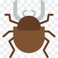 电脑图标封装后记剪辑艺术甲虫-空若网 电脑图标封装后记剪辑艺术甲虫-空若网