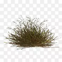 ÒûÓòݼÐÒÕÊõ-¿ÕÈôÍø ÒûÓòݼÐÒÕÊõ-¿ÕÈôÍø