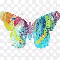 蛾对称绿松石-空若网 蛾对称绿松石-空若网