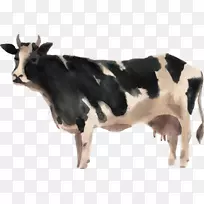 ÄÌţˮ²Ê»³¡-¿ÕÈôÍø ÄÌţˮ²Ê»³¡-¿ÕÈôÍø