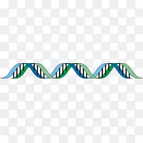 材料线-空若网 材料线-空若网