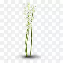 花卉设计、切花、飞蛾、兰花、花盆植物茎设计-空若网 花卉设计、切花、飞蛾、兰花、花盆植物茎设计-空若网