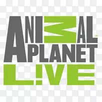 动物星球活生生的标志生活电视-空若网 动物星球活生生的标志生活电视-空若网