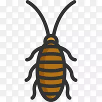 蟑螂昆虫,蜜蜂,电脑图标,害虫控制-蟑螂-空若网 蟑螂昆虫,蜜蜂,电脑图标,害虫控制-蟑螂-空若网