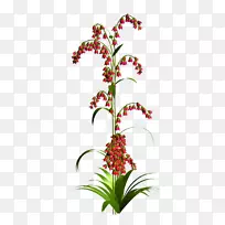 切花花卉图案花瓣花园玫瑰-花-空若网 切花花卉图案花瓣花园玫瑰-花-空若网