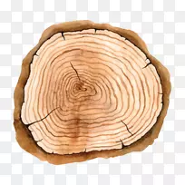 ÎÞ°æË°»æ»-¿ÕÈôÍø ÎÞ°æË°»æ»-¿ÕÈôÍø