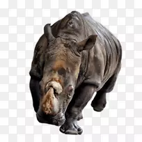 数字图像动画-空若网 数字图像动画-空若网