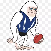 明尼苏达州冻结澳大利亚规则足球国际规则赞助商-空若网 明尼苏达州冻结澳大利亚规则足球国际规则赞助商-空若网