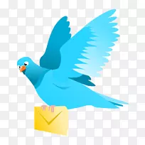 英国信鸽寻巢鸽科鸽后剪贴画-电子邮件-空若网 英国信鸽寻巢鸽科鸽后剪贴画-电子邮件-空若网