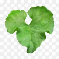 叶菜春绿花叶-空若网 叶菜春绿花叶-空若网