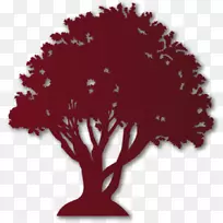 ������-������