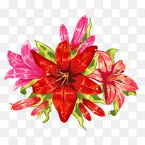 ����һƷ��-������