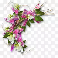 ���ܻ�԰õ�������-����-������