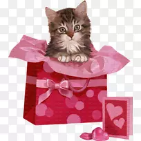 һ��һ��Ķ������Ʋ���-����-������