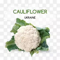 花椰菜类群-花椰菜-空若网 花椰菜类群-花椰菜-空若网