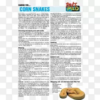 �����Ʋ���İ�����˹-��-������