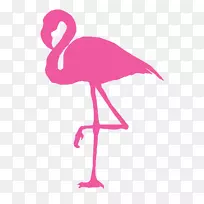 墙上贴纸火烈鸟Zazzle-火烈鸟-空若网 墙上贴纸火烈鸟Zazzle-火烈鸟-空若网