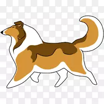 粗糙牧羊犬,边境牧羊犬,有胡须的牧羊犬,设得兰牧羊犬,光滑牧羊犬-阿拉斯加-空若网 粗糙牧羊犬,边境牧羊犬,有胡须的牧羊犬,设得兰牧羊犬,光滑牧羊犬-阿拉斯加-空若网