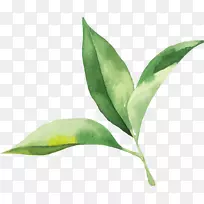 Ë®²Ê»Ò¶»-¿ÕÈôÍø Ë®²Ê»Ò¶»-¿ÕÈôÍø