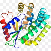 人体珠宝线剪贴画线-空若网 人体珠宝线剪贴画线-空若网