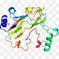 ������Ϊ�л����ߵ��������-������