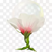 Ë®²Ê»RGBÉ«²ÊÄ£ÐÍ-¿ÕÈôÍø Ë®²Ê»RGBÉ«²ÊÄ£ÐÍ-¿ÕÈôÍø