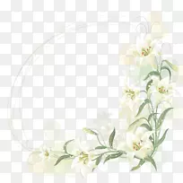 �߻�������ưٺϻ�-������