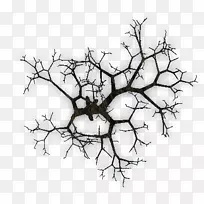 С֦����֦��ֲ�ﾥ-��-������