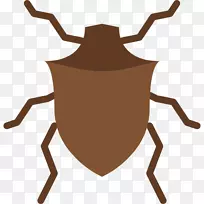 电脑图标剪贴画甲虫-空若网 电脑图标剪贴画甲虫-空若网