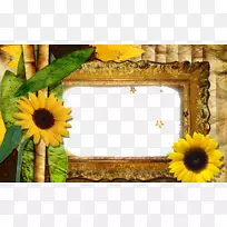 托莱坞问答新android-向日葵边框图片材料-空若网 托莱坞问答新android-向日葵边框图片材料-空若网