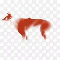 �������ֽ���ӵ��Թ�-������