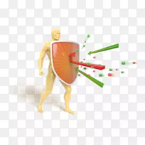 �������������ϵͳ����ʳ�������������������-����-������