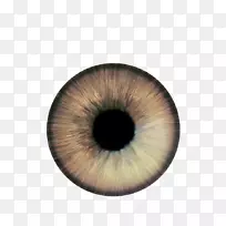 ��Ĥ��Ӱmp3-������