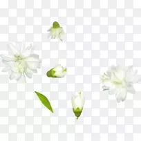 切花,花瓣,花蕾,玫瑰花-空若网 切花,花瓣,花蕾,玫瑰花-空若网