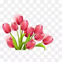 郁金香花束夹艺术-郁金香-空若网 郁金香花束夹艺术-郁金香-空若网
