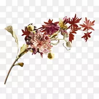 切花设计剪贴画-空若网 切花设计剪贴画-空若网