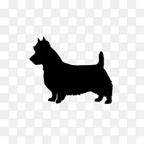 �����޿�����ʿȮ�Ĵ�������Ȯ��ë������ʿ�Ƽ��Ĵ�����ţ������-������