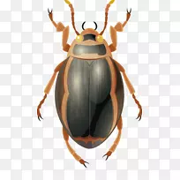 ³æ·à¼×³æ-À¥³æÔØÌå-¿ÕÈôÍø ³æ·à¼×³æ-À¥³æÔØÌå-¿ÕÈôÍø