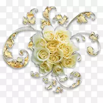 ��ɫ������-������