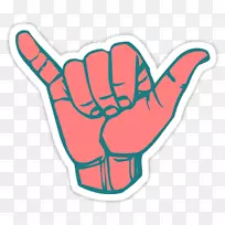 ɳ�������걣�ո���ֽ������-������