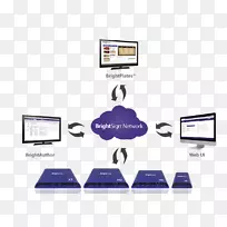 ���ֱ�־���������������Ϣ����ý��-������