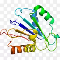 线点鞋夹艺术线-空若网 线点鞋夹艺术线-空若网